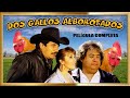 "DOS GALLOS ALBOROTADOS" Pelicula Ranchera Mexicana al estilo de Pedro Infante y Javier Solis
