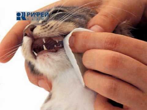 Герой с синей кожей Герой с синей кожей