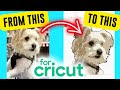 How To Turn A Picture Into An SVG For FREE | How To Create An SVG File Cricut Tutorial For Beginners