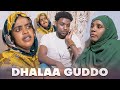 🔴Faya Jiru | Dhalaa Guddo | New Diraamaa Afaan Oromo
