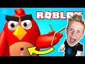 What’s inside the Angry Birds Obby in Roblox?!