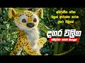 දගර වලිග ලප වානර සම්පූර්ණ චිත්‍රපටය සිංහලෙන් | Dagara valiga full movie in Sinhala | movie review
