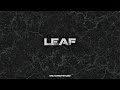 Chill Trapsoul Type Beat - "Leaf" | Type beat 2024 | Rap Trap Instrumental