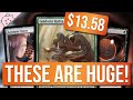 These New Cards Are Making a Huge Impact! | Best New Cards | MTG