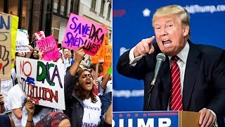 Trump To Delay DACA Repeal For Six Months Then Congress Must Deal With It (REACTION)