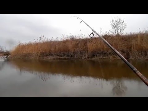 рыбалка в районе каменска шахтинского рыбалка в районе каменска шахтинского