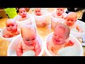 🔴 [LIVE] A MUST: BEST Videos Of Funniest Babies Twins And Triplets Run The World || Cool Peachy