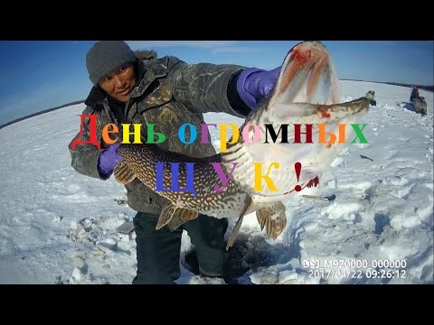 видео рыбалка на переметы видео рыбалка на переметы