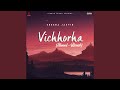 Vichhorha (Slowed & Reverb)