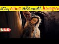 బొమ్మ గురించి తెలీక ఇంటికి  తీసుకెళ్లారు అంతే చూడండి || Movie Explained In Telugu || ALK Vibes