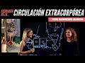 Fisiología de la Circulación Extracorpórea