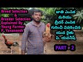 Breed Selection And Breeder Selection Explained By A Young Farmer P. Yavaneesh In Telugu