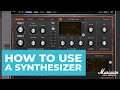 Synth Basics (Everything You Need to Know)