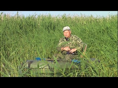 Ловля карп на урефтах Ловля карп на урефтах