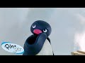 Best Episodes from Season 5 | Pingu - Official Channel | Cartoons For Kids