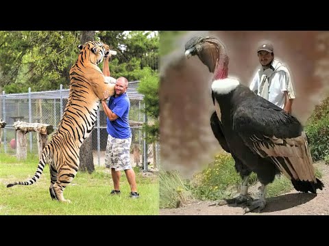 30 Biggest Animals Ever Captured 