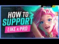 How a SUPPORT got CHALLENGER with a 76% Win Rate