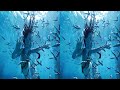 SBS 3D | Avatar Movie - 3D Complete Movie