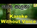 Nethu Saluna Kadulin Desa Piri - Romesh Sugathapala Karoke Without Voice