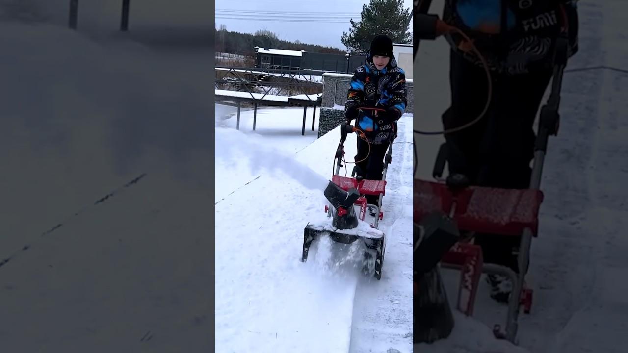 Snowy Yard: A Day of Snow Removal