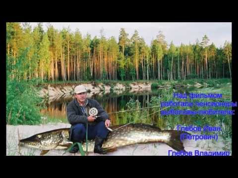 кто ловит нельмой кто ловит нельмой