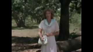 The Gods Must Be Crazy Funniest Movie Scene HD 360p
