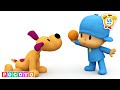 Pocoyo 🐕 قناة العربية - القناة الرسمية - فيديوهات حيوانات للأطفال! [45 دقيقة] | كارتون ورسوم