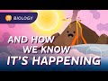 What is Climate Change?: Crash Course Biology #8