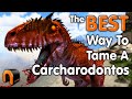 Ark How To Tame A Carcharodontosaurus AMAZING REAL WAY!