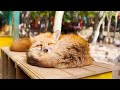 Visiting Japan's Fox Village🦊 | Miyagi Zao Kitsunemura Fox Village | ASMR