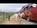 Horse Truck | Stable Tour at Van Horse #horse