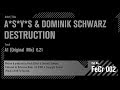A*S*Y*S & Dominik Schwarz - Destruction