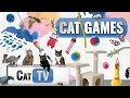 CAT Games | Ultimate Cat TV Compilation Vol 37 | 2 HOURS 🐝🐞🦋🦎🦜🐜🐭🧵