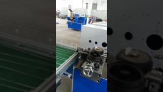 SB41L packing machine Nanjing Saiyi Technology Co ,Ltd
