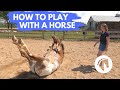 HOW TO PLAY WITH A HORSE