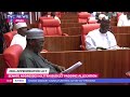 Budget Padding Allegation: Senator Adeola Reads Transcription Of Senator Ningi's Interview