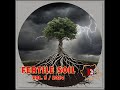 Fertile Soil Vol. 5 / 2024 (Romanian Underground Rock / Metal compilation)