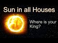 Sun in all houses | Anmol Kapoor | AK Astrology