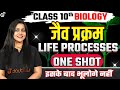 Complete Life Processes One Shot जैव प्रक्रम Class 10th Science | Vijaita Mam #class10preparation