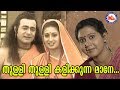 ശ്രീരാമ ലക്ഷ്മണനും|SreeRama Lakshmananum|MukkuttipooAlbum|Sreerama Song Malayalam |Hindu Devotional
