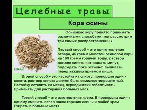 Рецепт с осиной при аденоме Рецепт с осиной при аденоме