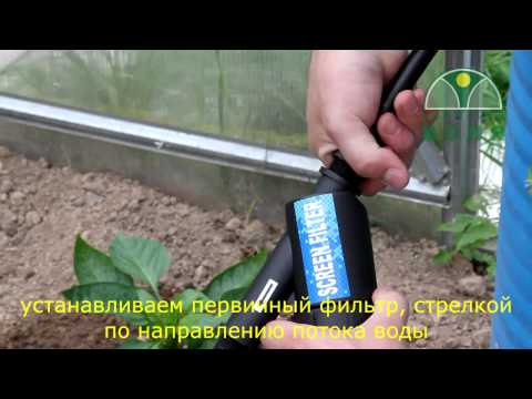 Дерево наклейка на стену своими руками