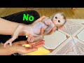 Baby monkey Tina suddenly peed on her mother's hand, so adorable