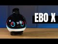Enabot EBO X Smart Home Robot Review: It Looks like a BB-8