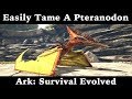 Easiest Way To Tame A Pteranodon - Ark: Survival Evolved