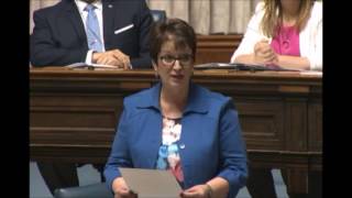 Eileen Clarke May 30, 2017 Members Statement