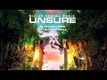 Alan Walker & Kylie Cantrall - Unsure (Nivesh Sharma Remix)
