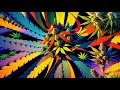 Nexxus 604 - Flower Power - Psychedelic trance mix • (4K AI animated music video)