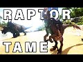 How to TAME a Raptor ► Ark