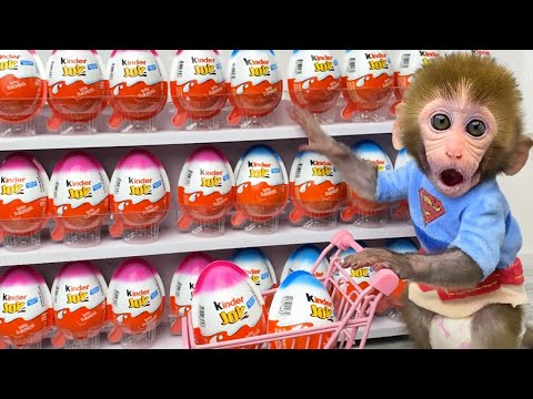 Monkey Baby Bon Bon doing shopping in Kinder Joy eggs store and eat Chocolate with the puppy